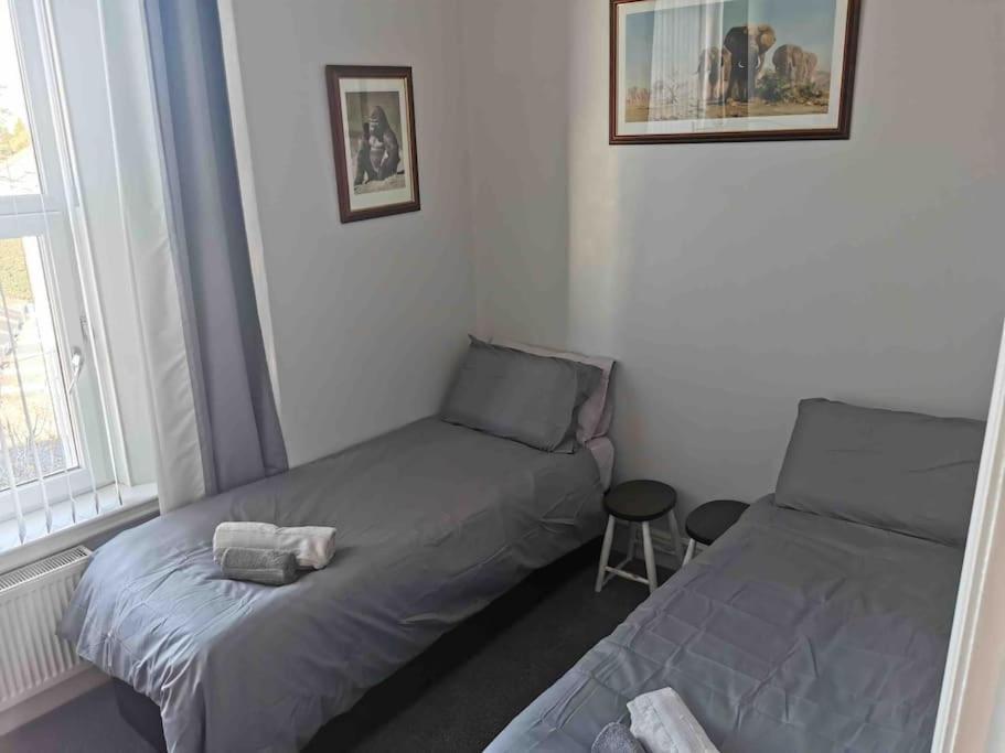 Number 7 Torquay Stunning Sea Views Lejlighed Eksteriør billede