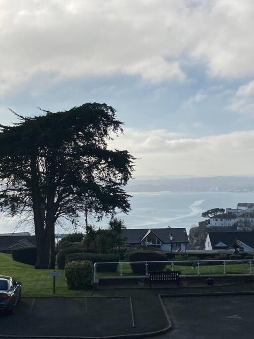 Number 7 Torquay Stunning Sea Views Lejlighed Eksteriør billede